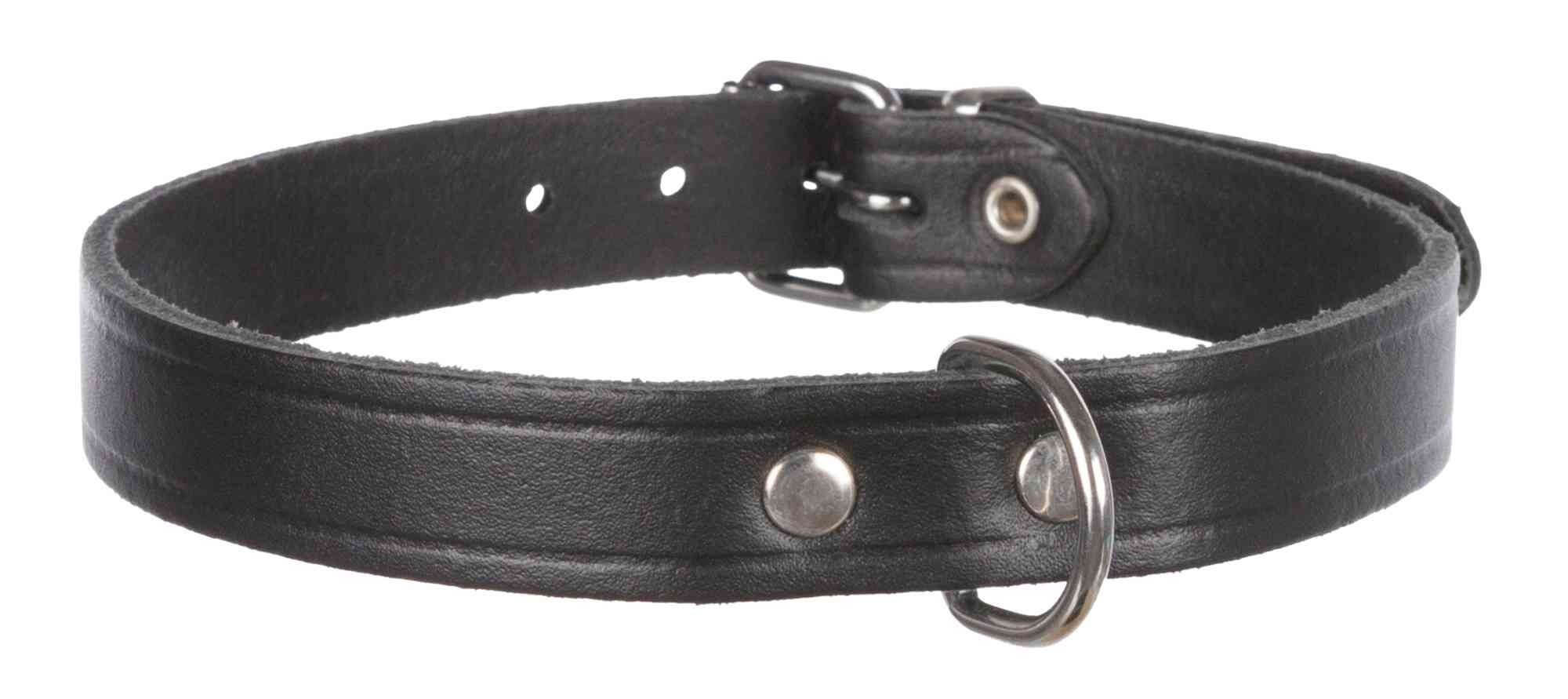 Collier pour chien Basic