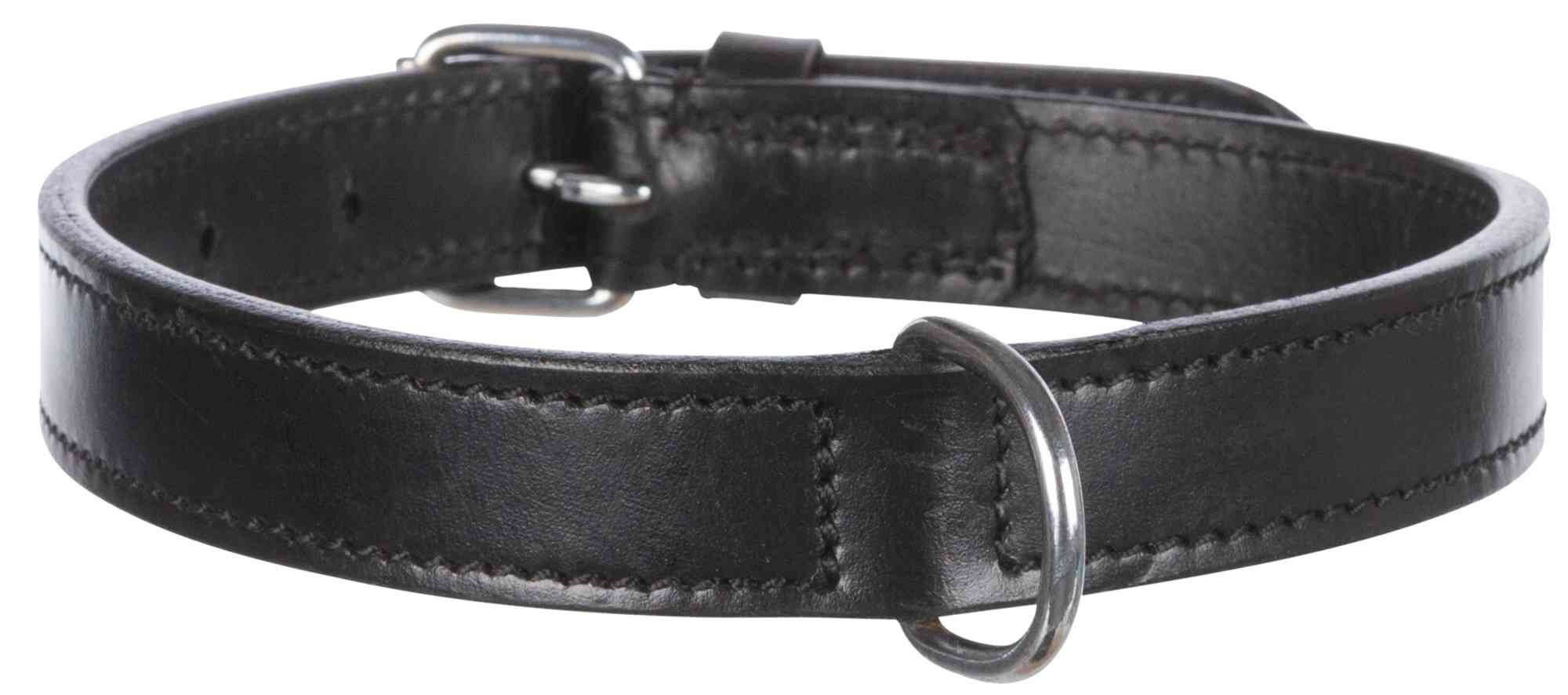 Collier en cuir pour chien Active