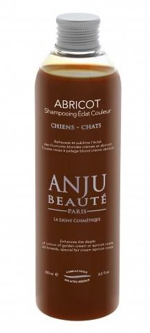 Anju Beauté shampooing éclat couleur abricot
