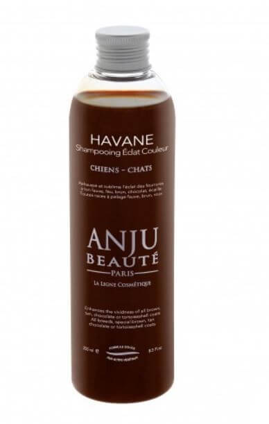 Anju Beauté shampooing Havane