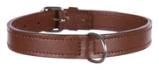 Collier en cuir pour chien Active