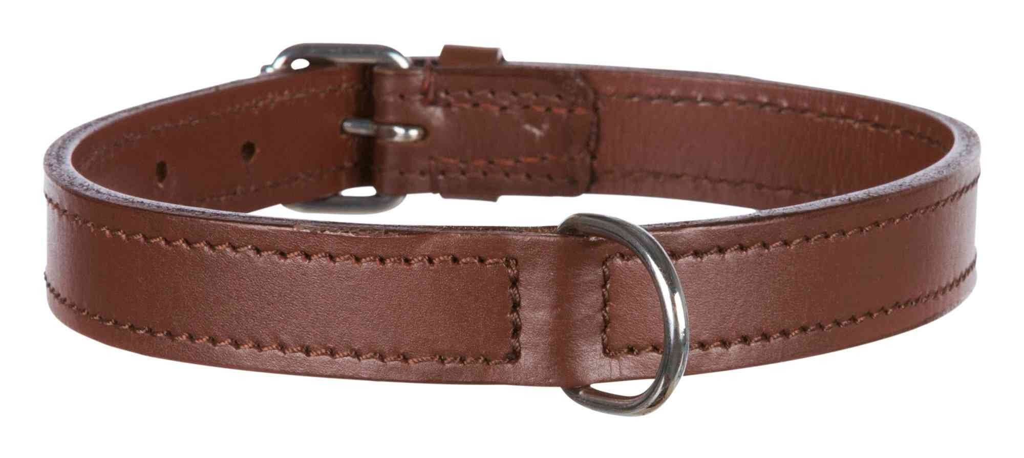 Collier en cuir pour chien Active