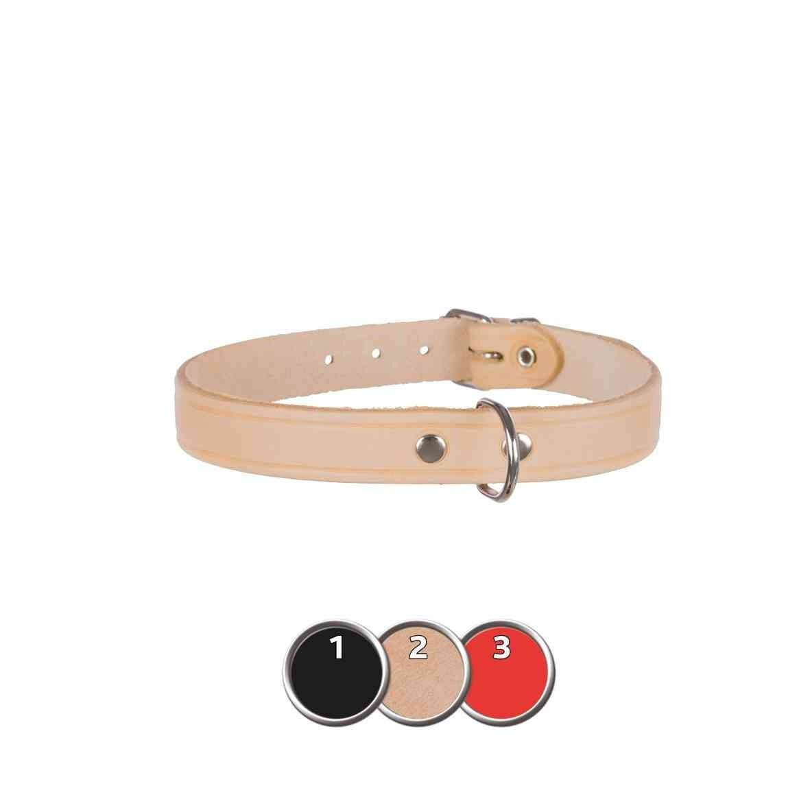Collier pour chien Basic