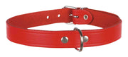 Collier pour chien Basic