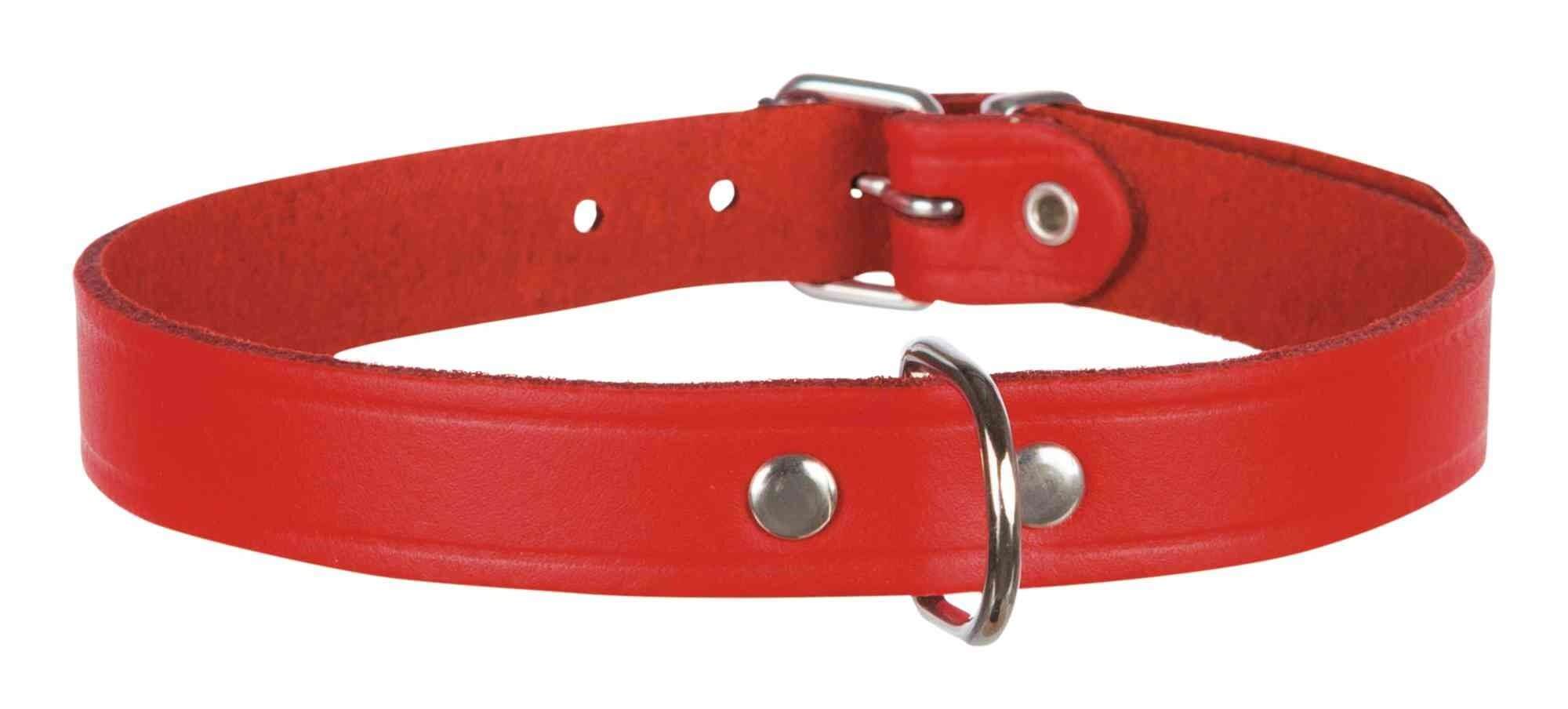 Collier pour chien Basic