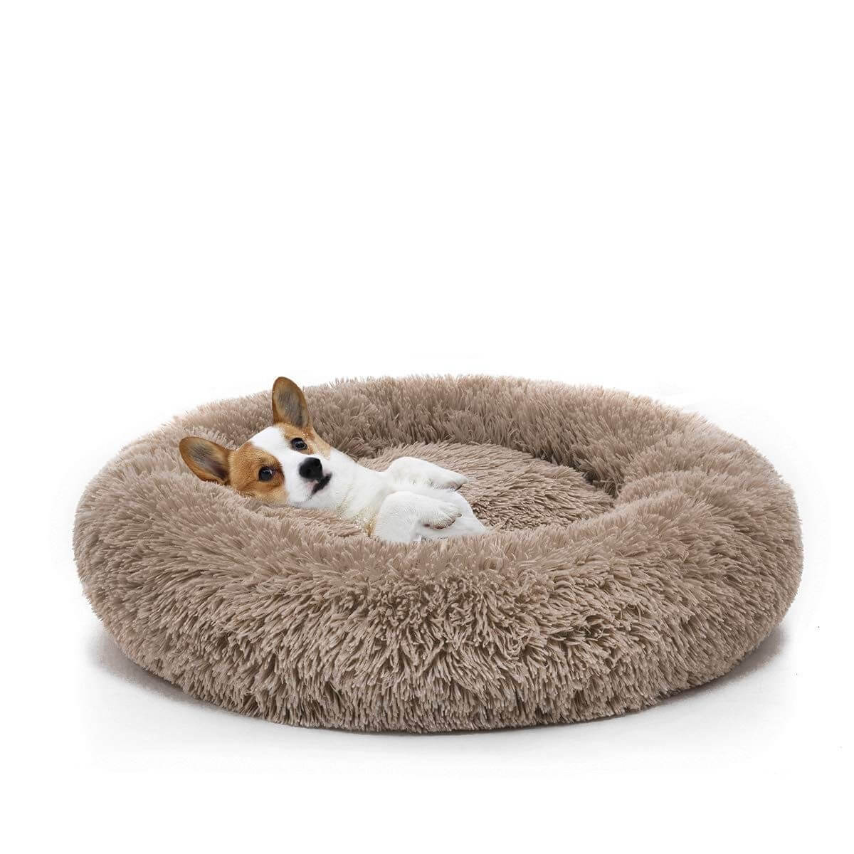 Coussin Reve