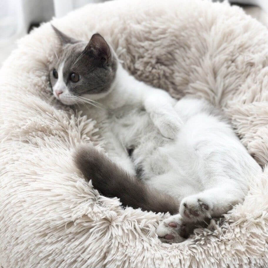Coussin Reve