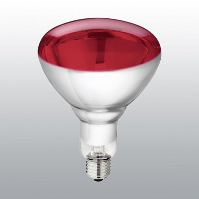 AMP LAMPE INFRAROUGE 250 W
