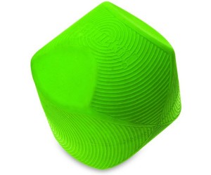 Chuckit Erratic ball