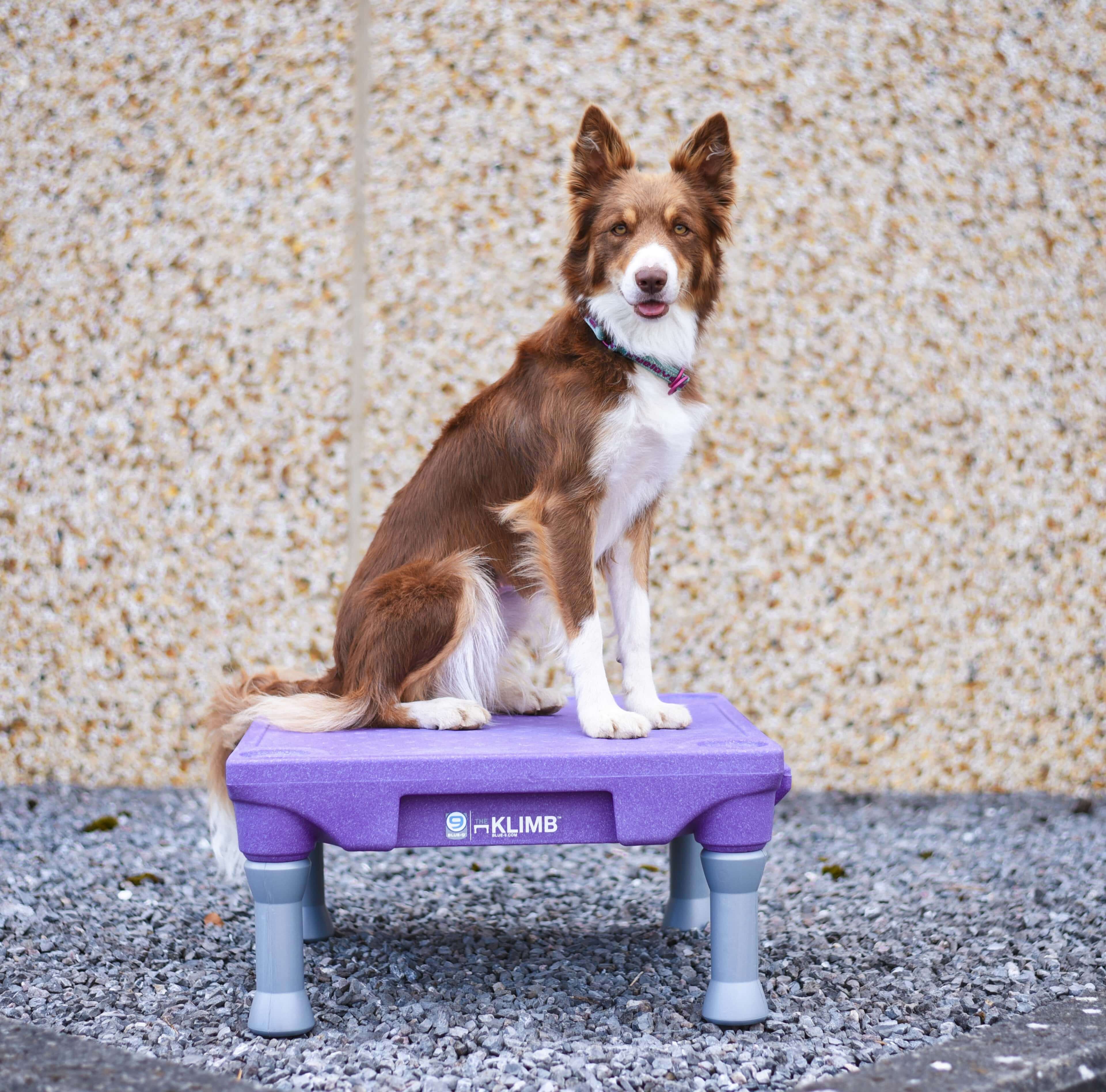 The Klimb Table de Proprioception