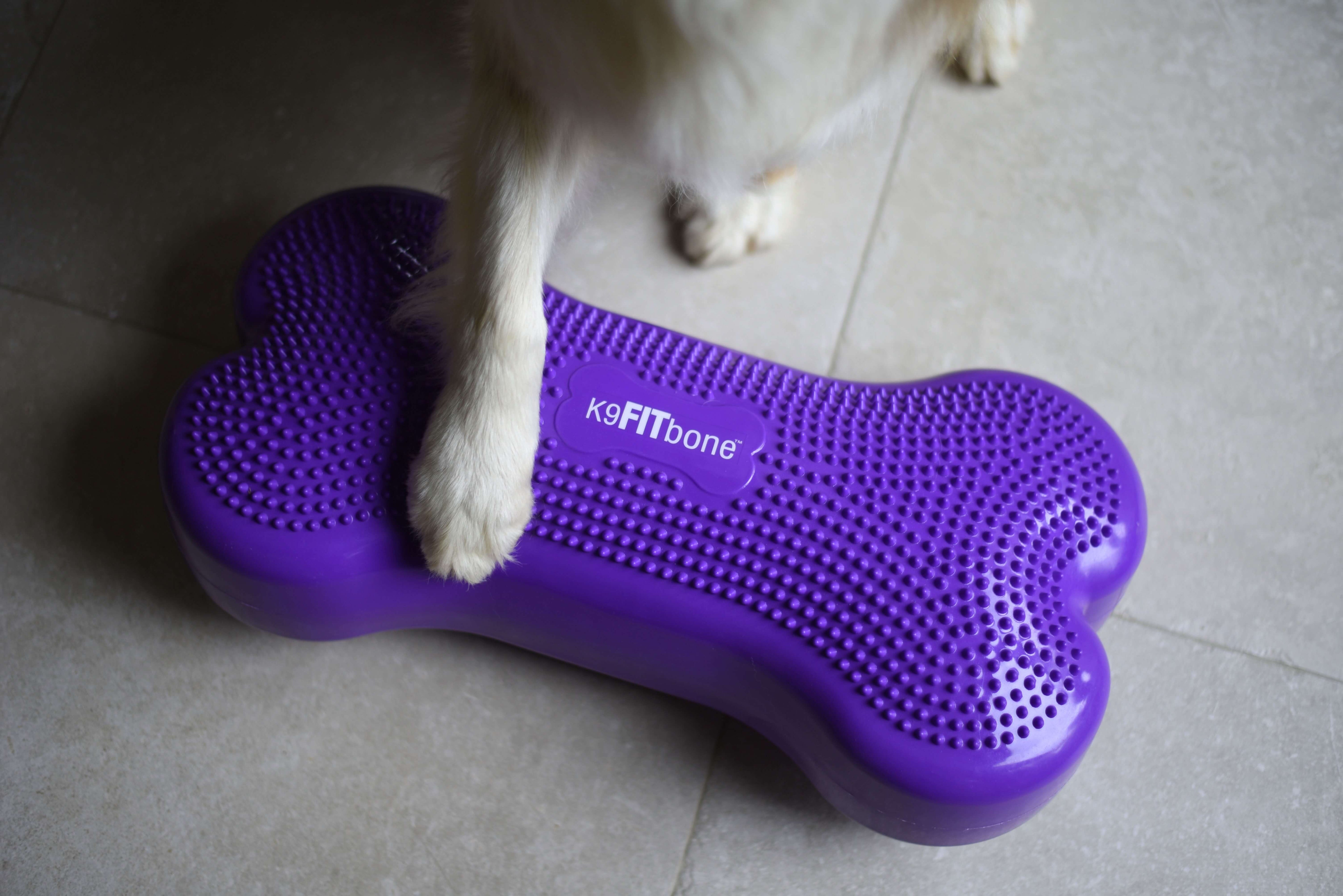 FitPaws K9 Fit bone