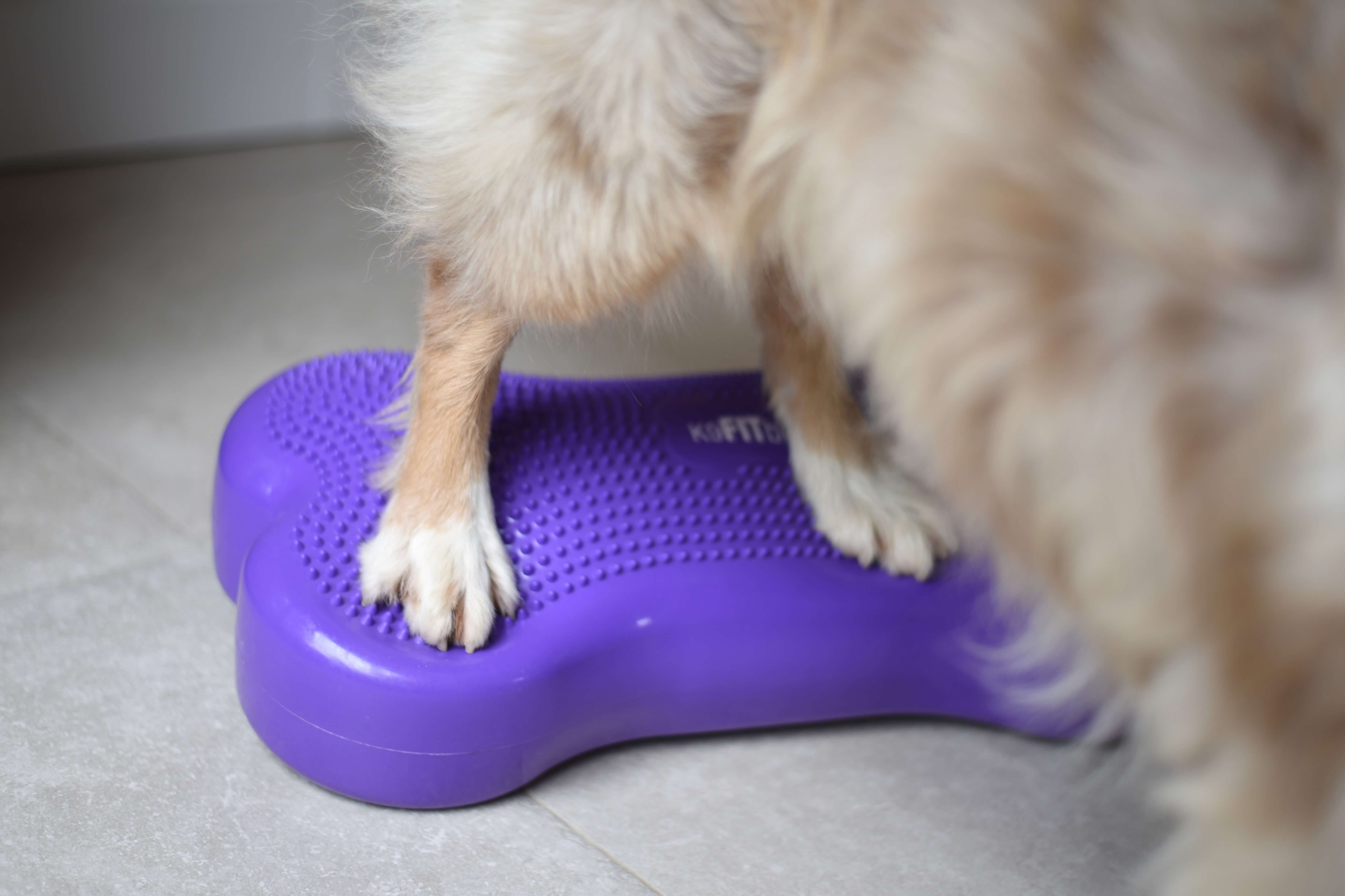 FitPaws K9 Fit bone
