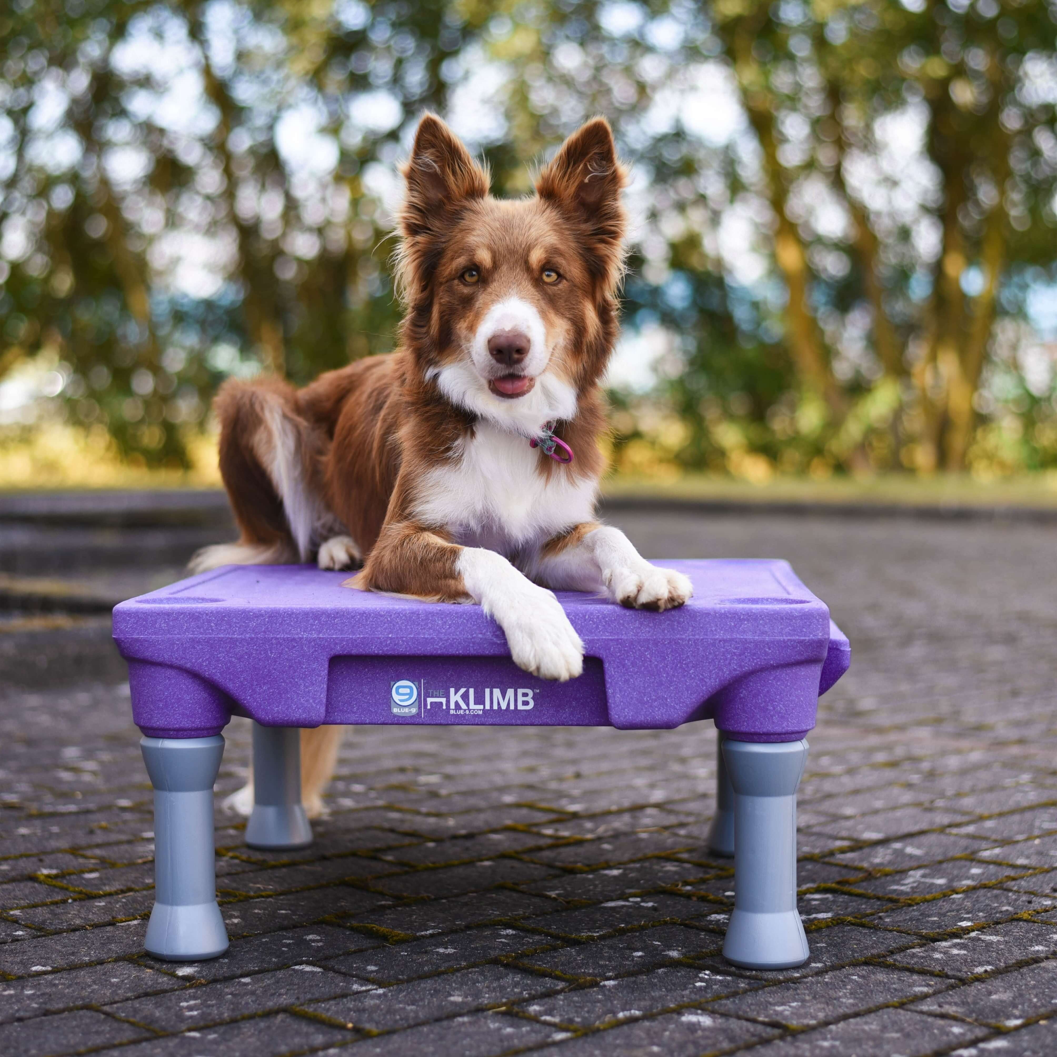 The Klimb Table de Proprioception