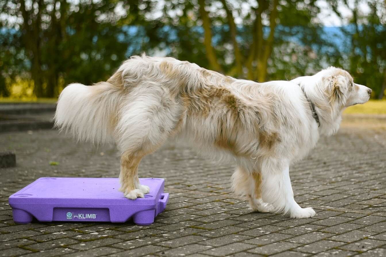 The Klimb Table de Proprioception