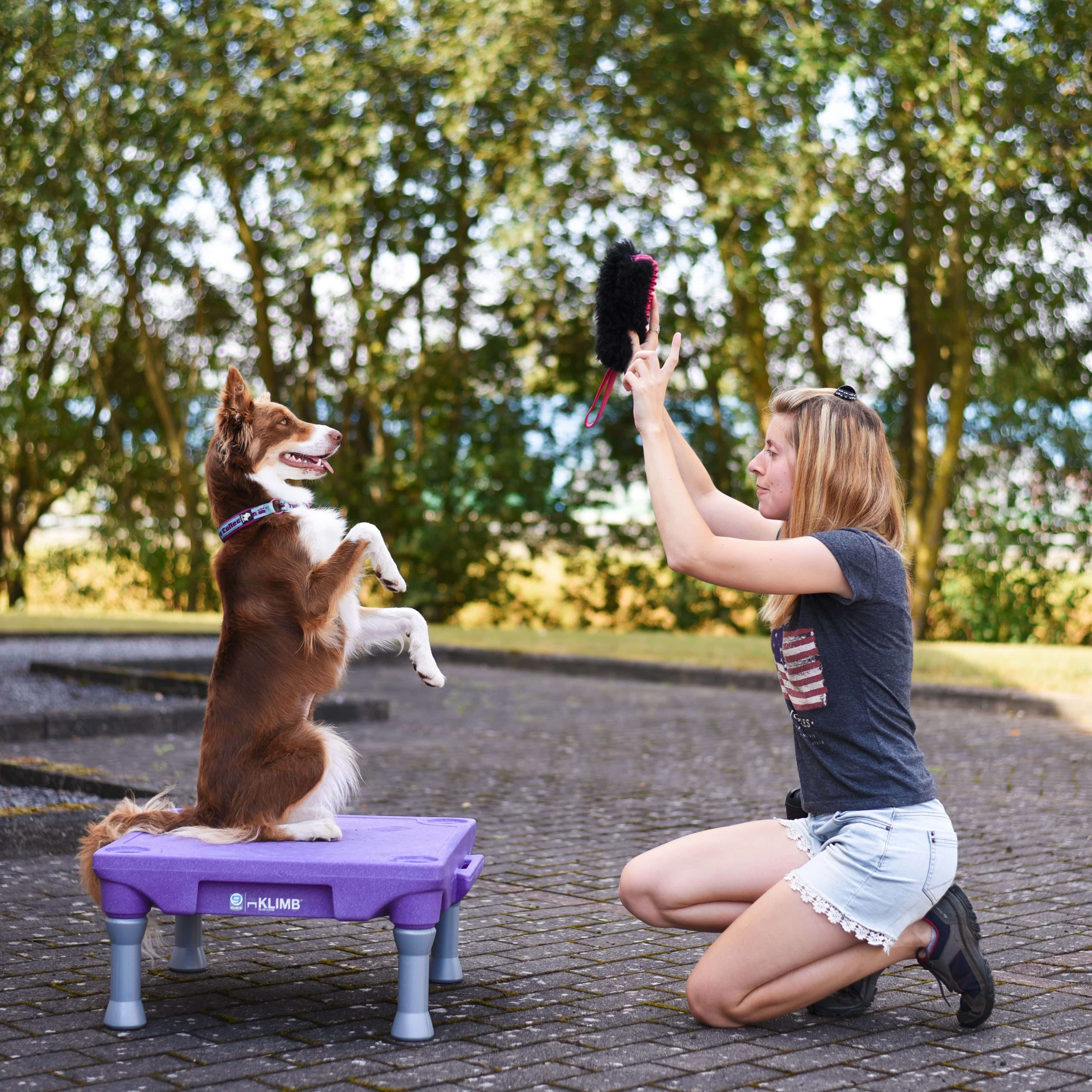 The Klimb Table de Proprioception