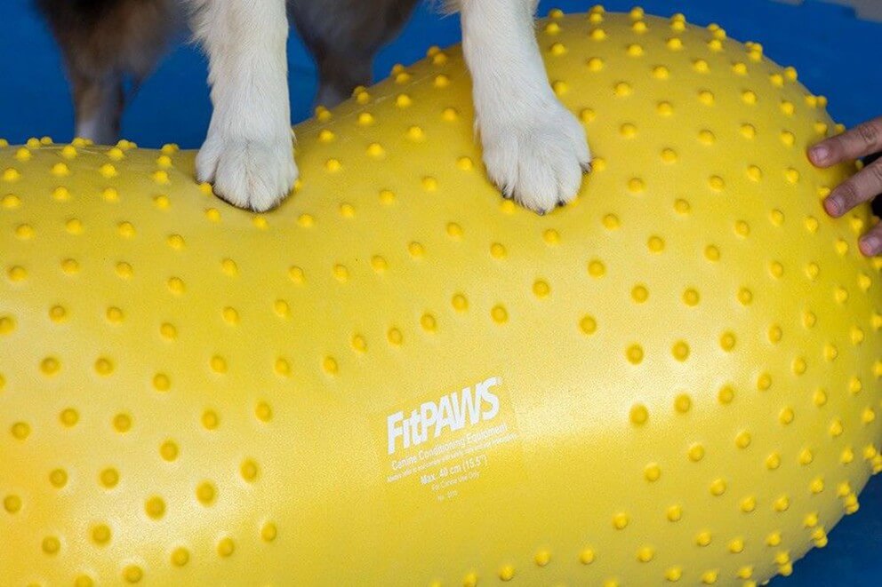 FitPaws TraxPeanut