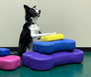 FitPaws Mini K9FIT bone
