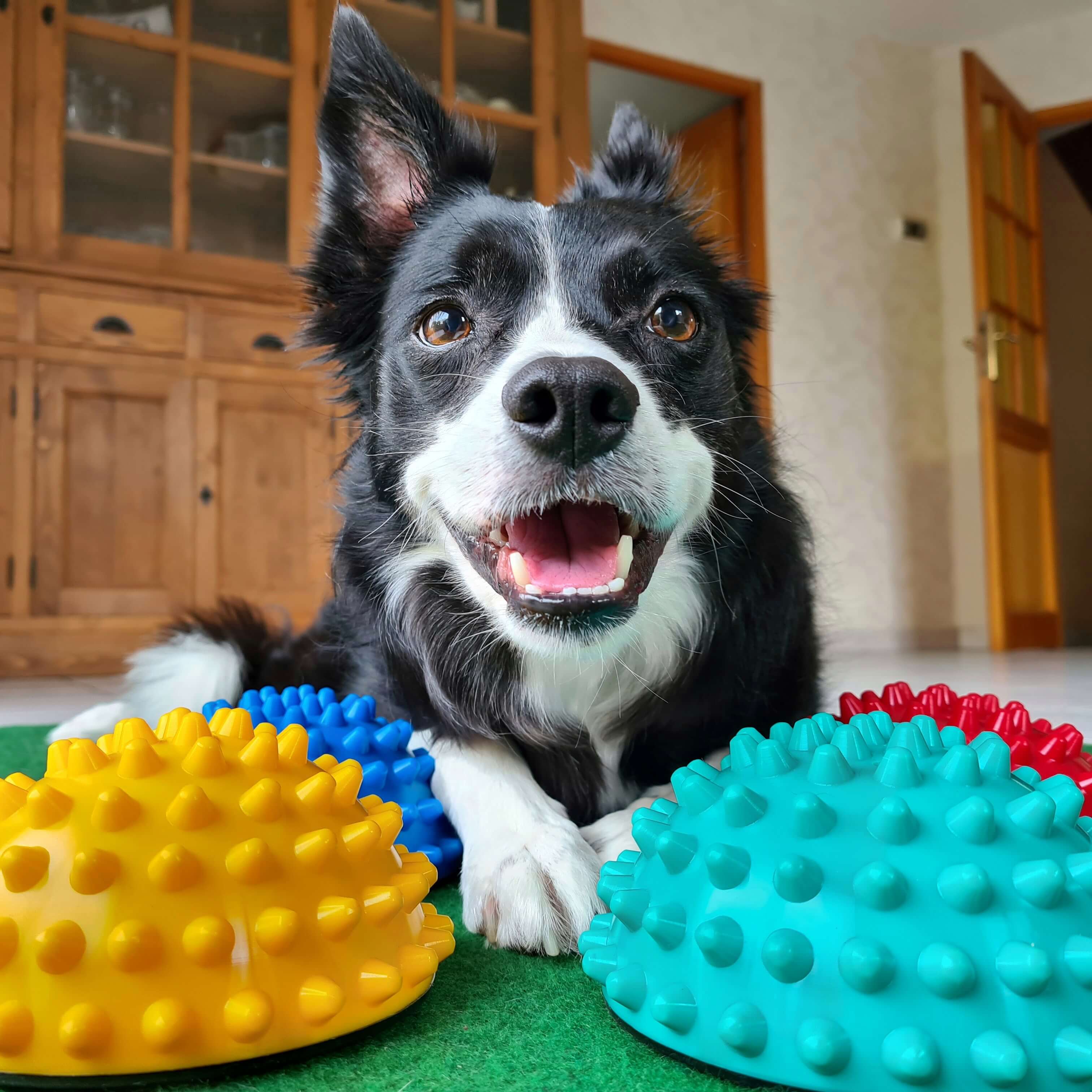 FitPaws Paw Pods Antidérapants
