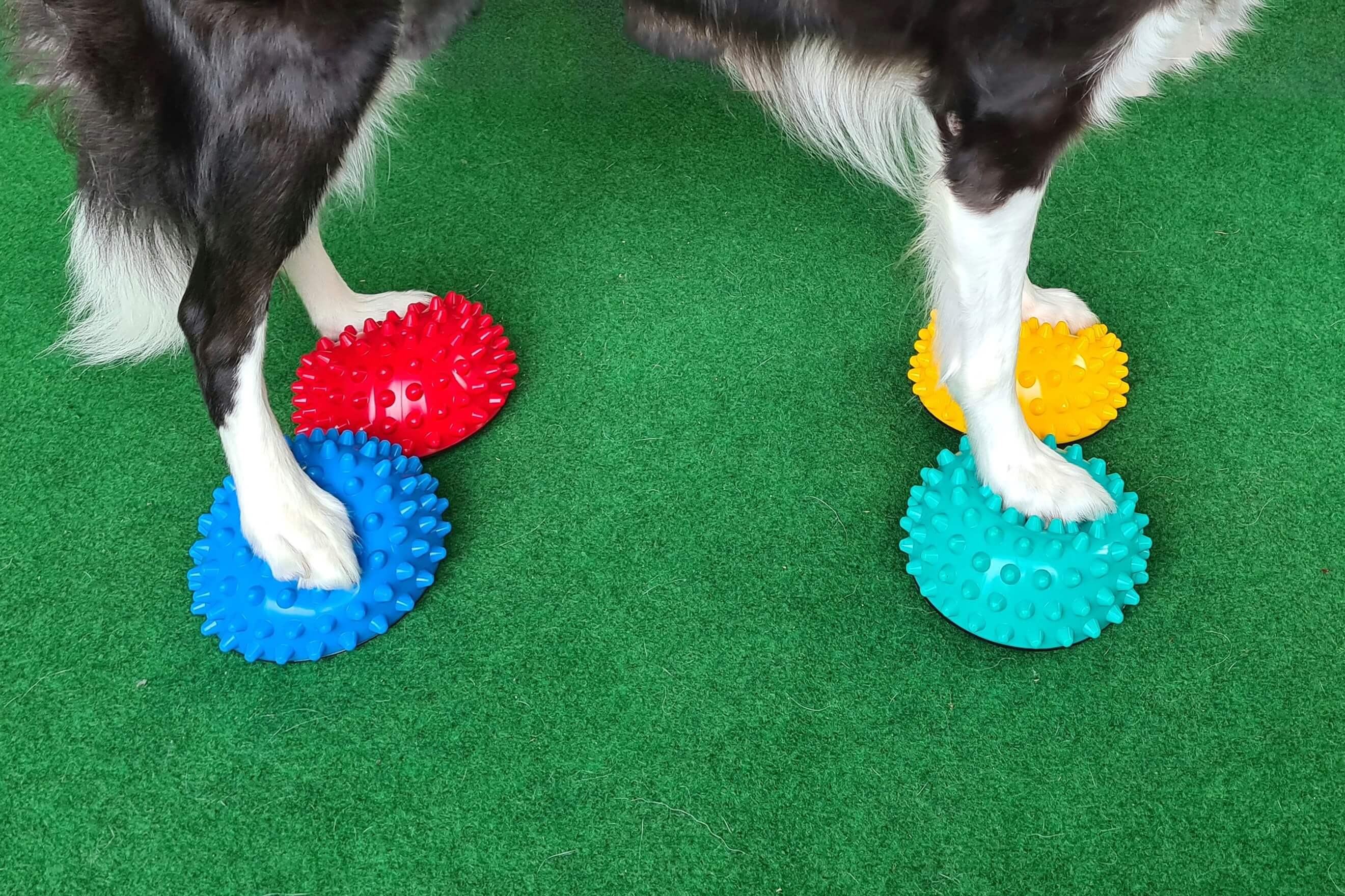 FitPaws Paw Pods Antidérapants