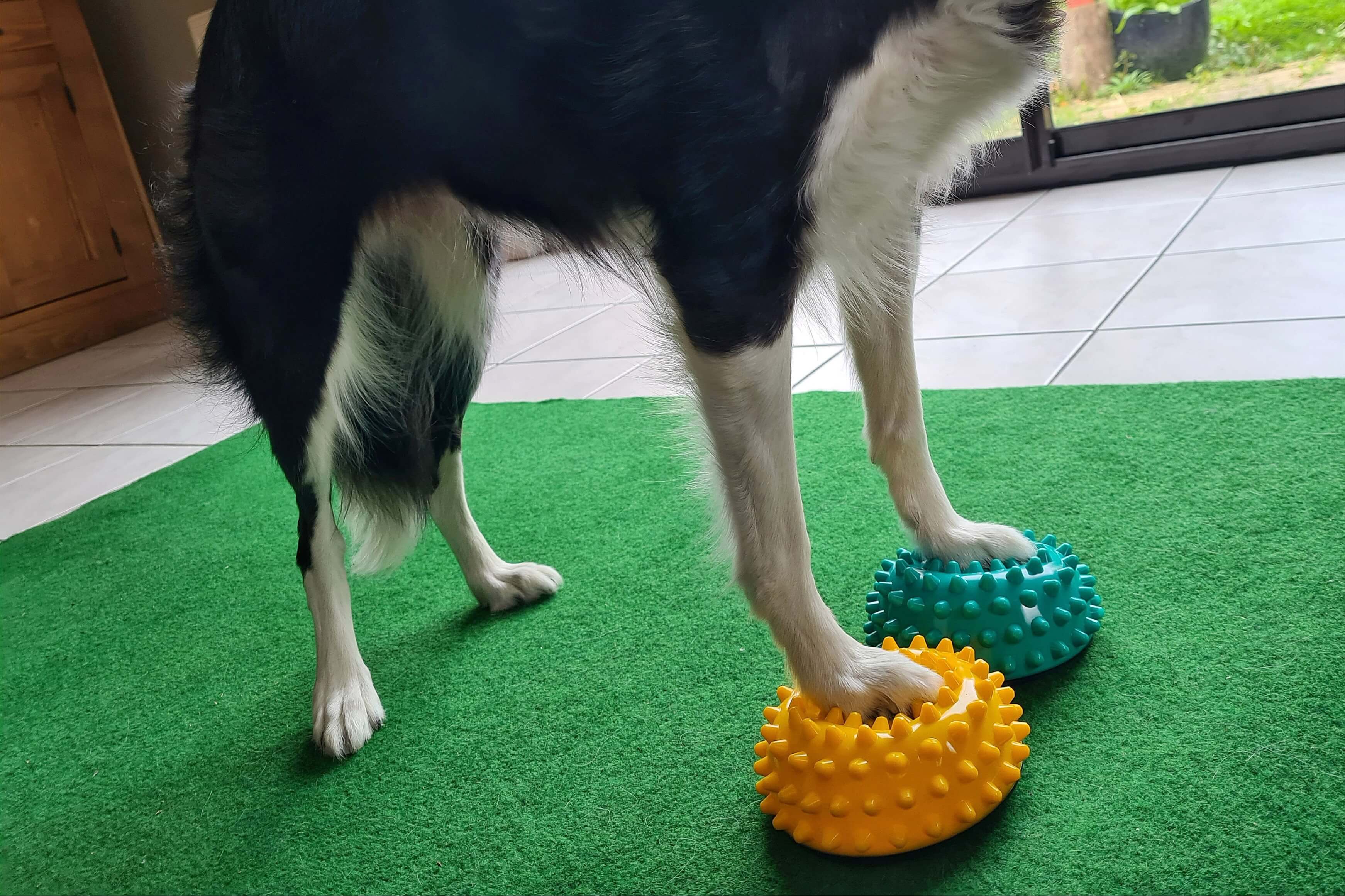 FitPaws Paw Pods Antidérapants