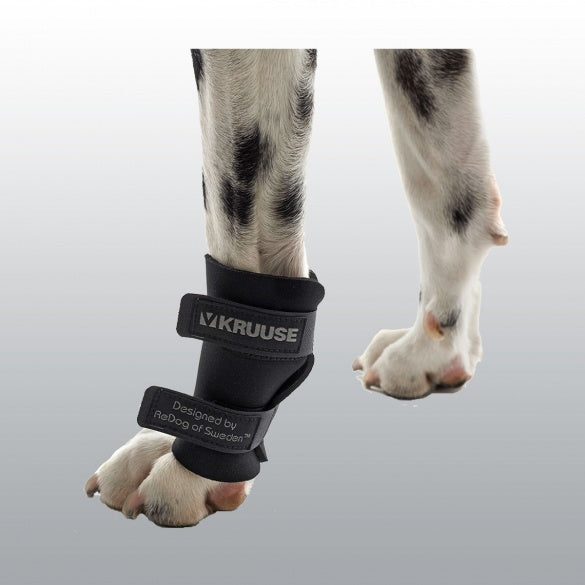 ATTELLE REEDUC.CARPE CHIEN L