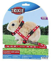 Harnais & Laisse Petit Lapin