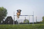 Pack agility maison