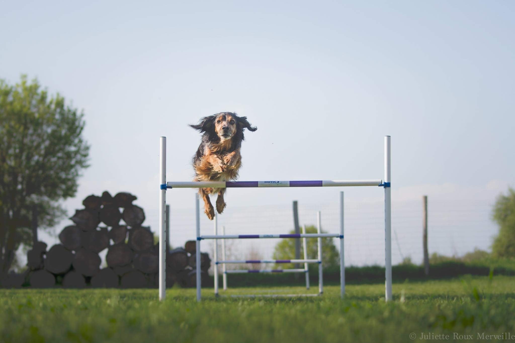 Pack agility maison