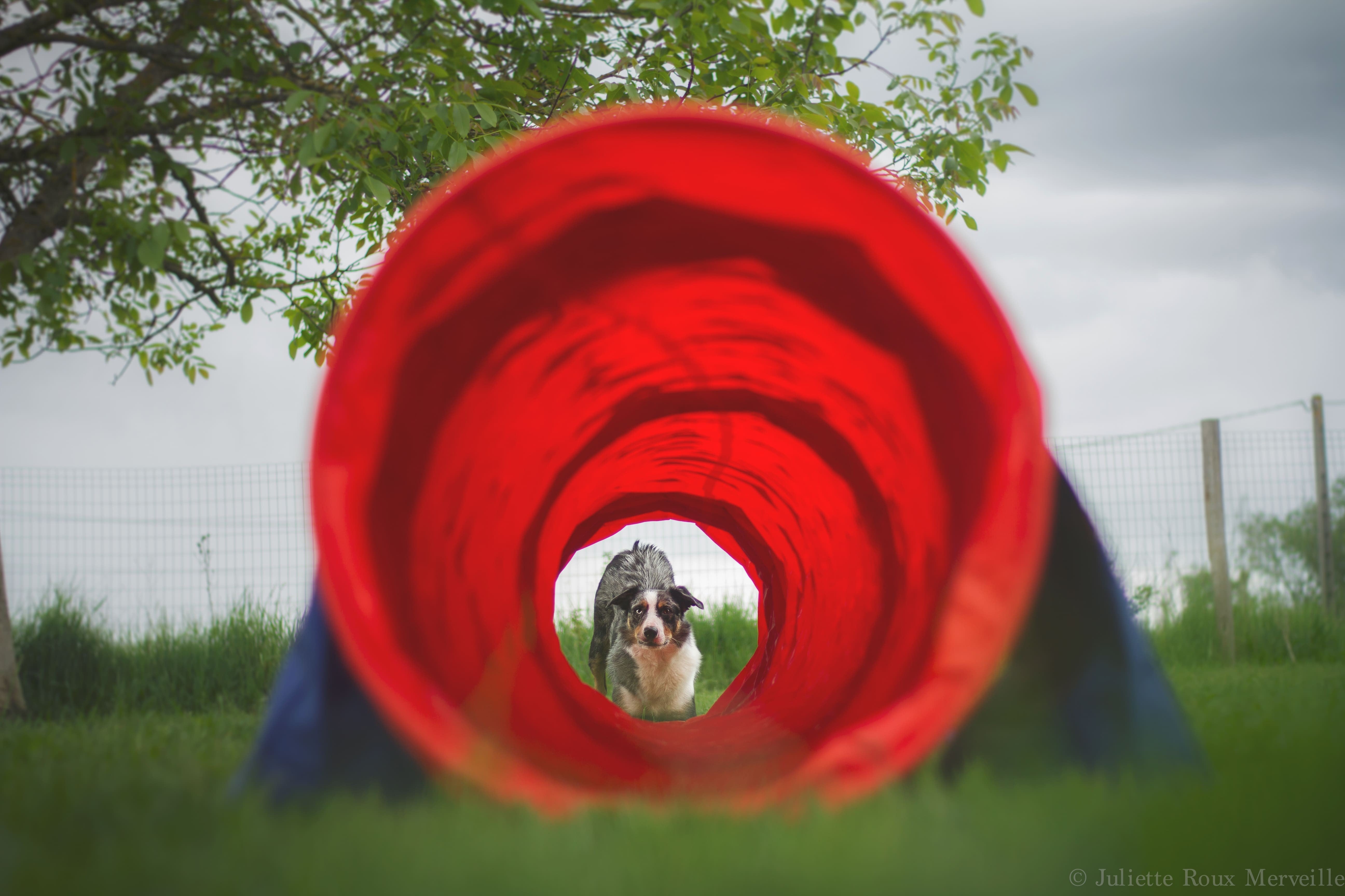 Pack agility maison