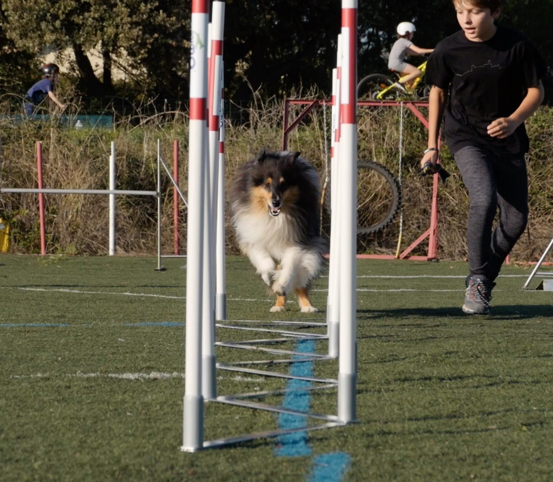 Pack agility maison