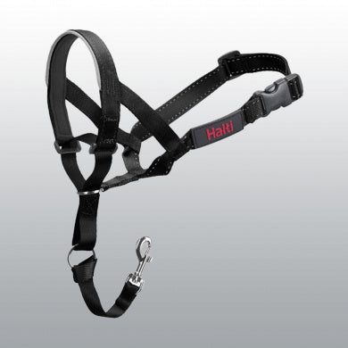 COLLIER HALTI NOIR T4
