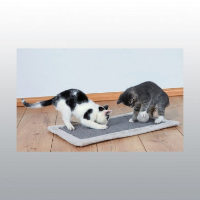 TAPIS GRIFFOIR 55X35 CM