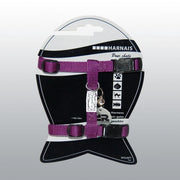 HARNAIS CHAT BASIC VIOLET