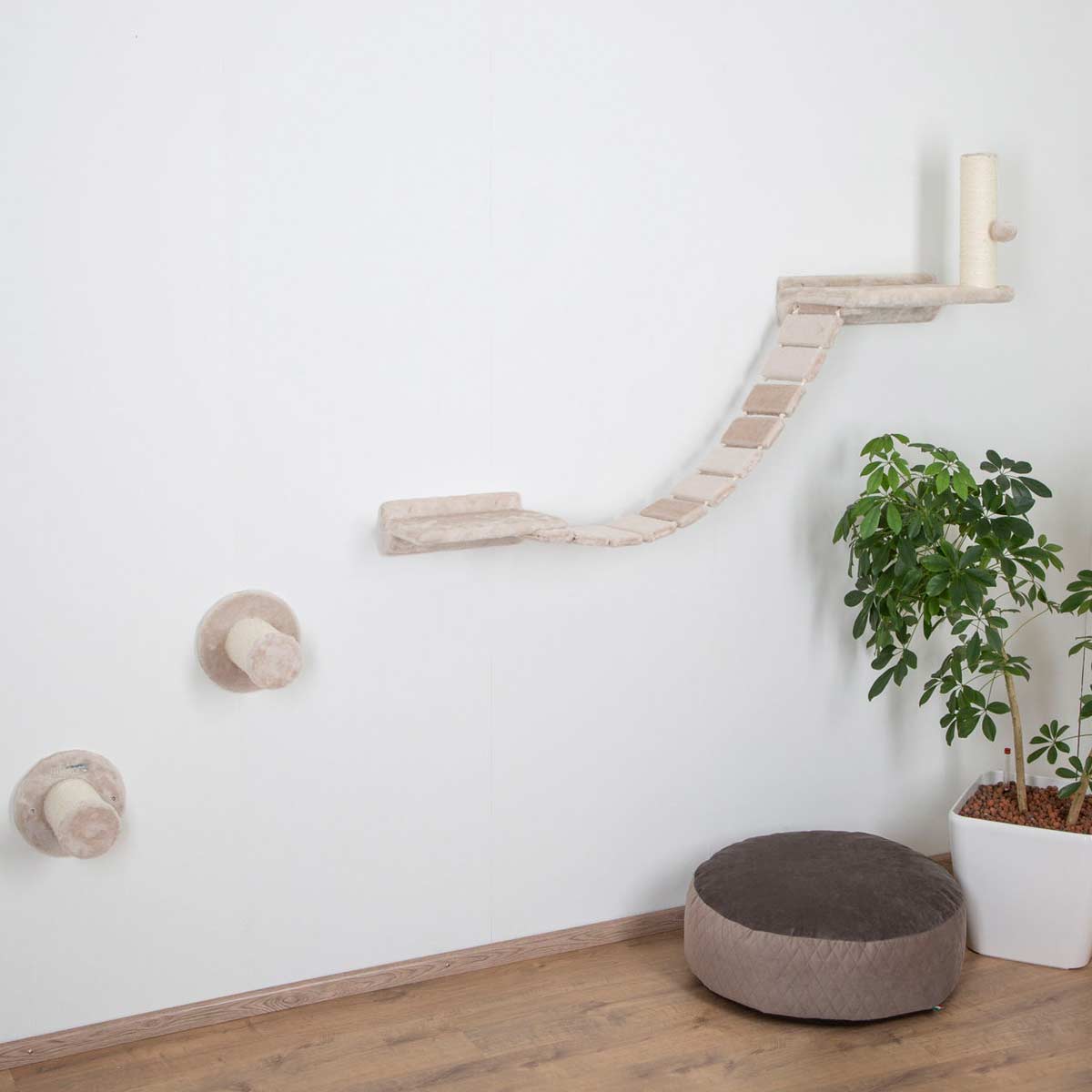 Mur d'escalade Chat