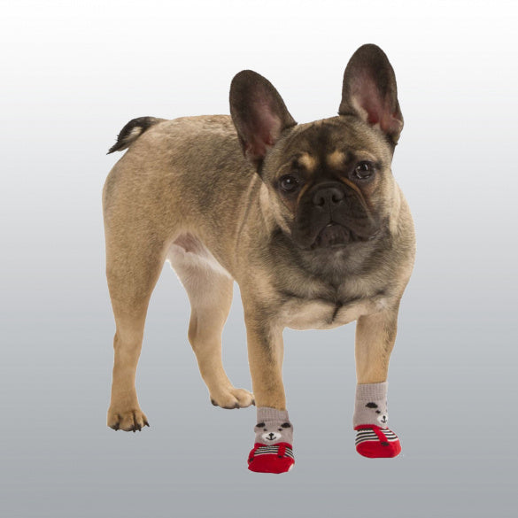 CHAUSSETTES CHIEN BRUNO S