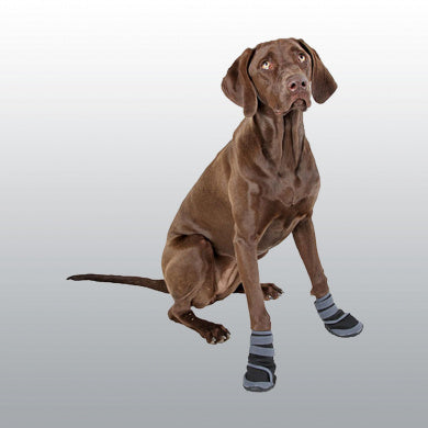 CHAUSSURES CHIEN ACTIVE S X2