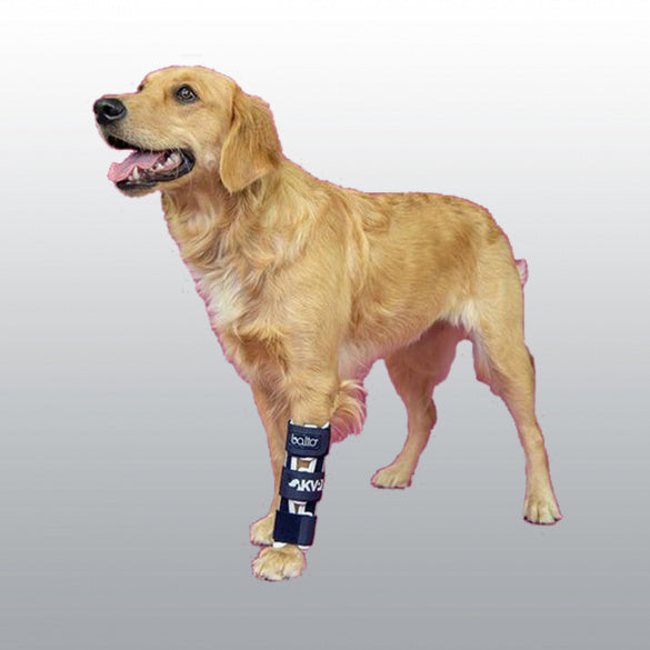 ATTELLE BALTO RADIUS M