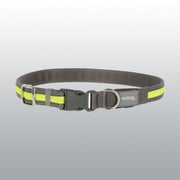 COLLIER LIGHTrREFLEX 45-65 CM