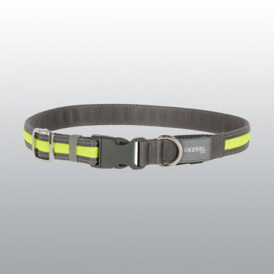 COLLIER LIGHTrREFLEX 45-65 CM