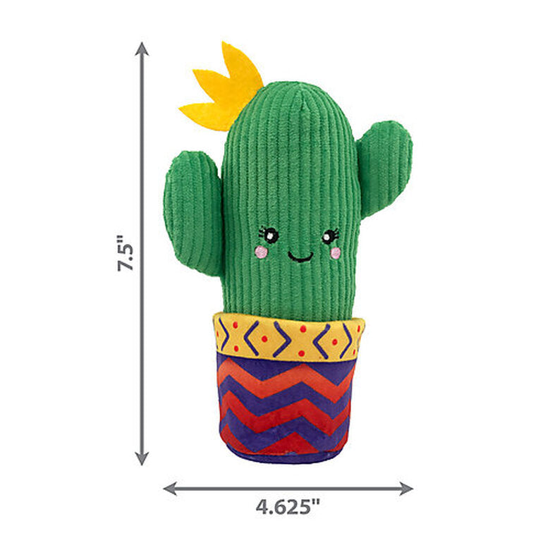 Jouet Kong Chat Wrangler Cactus
