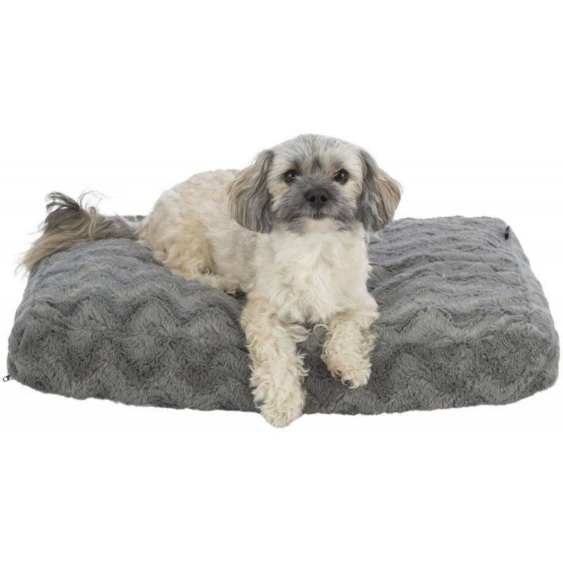 Coussin Loki