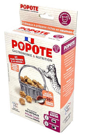 Kit de fabrication de friandises au saumon