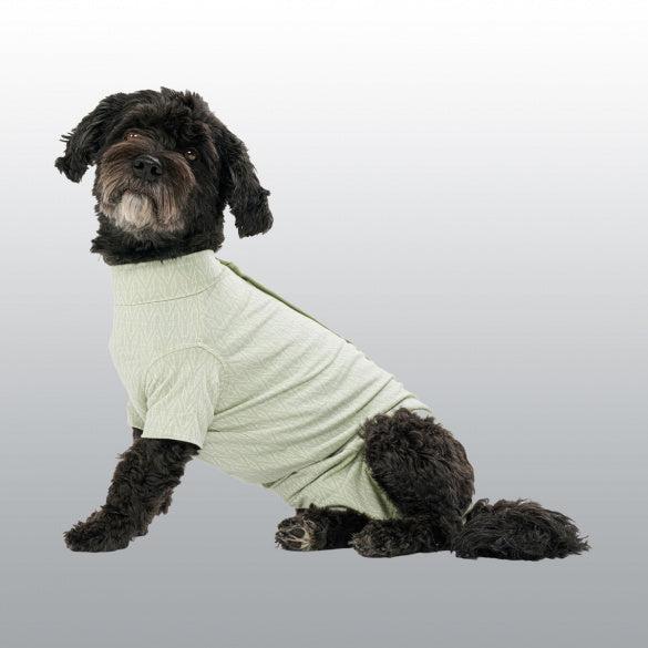 BODY CHIEN STEP'N GO GREEN XL