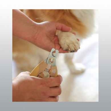 COUPE GRIFFES MAGIC BRUSH
