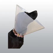 CARCAN SNAP N GO 30CM X10