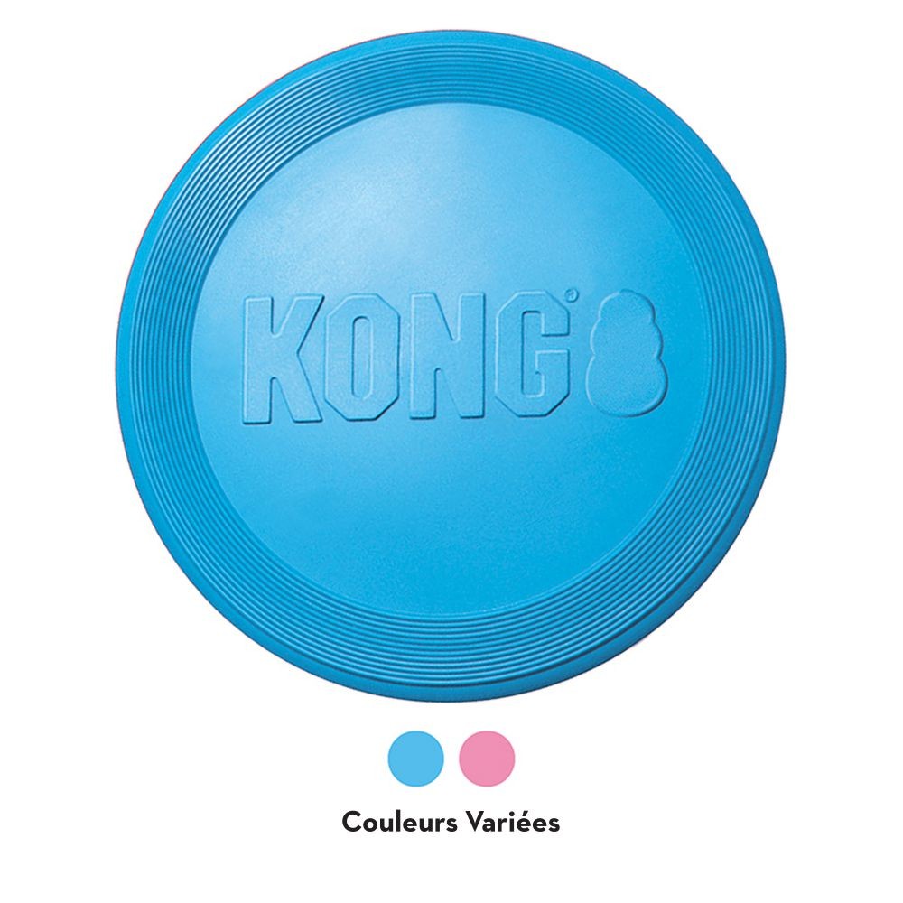KONG Puppy flyer