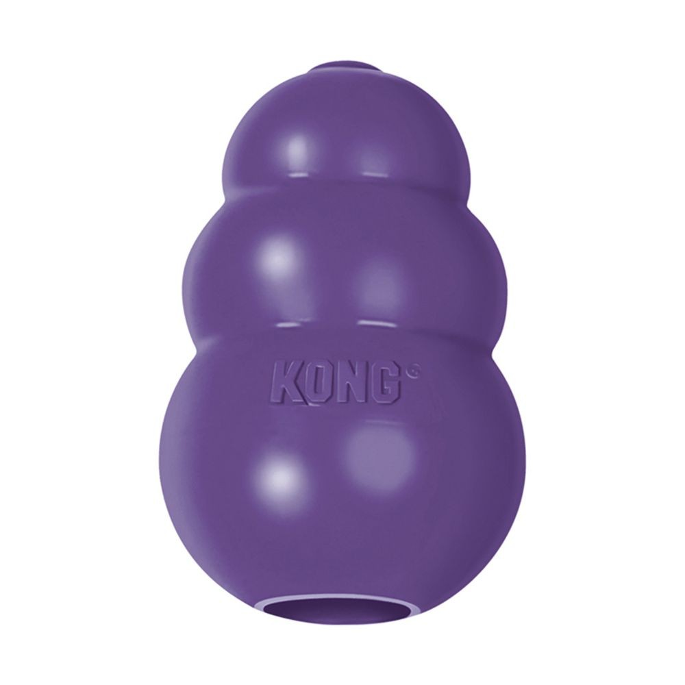 KONG senior