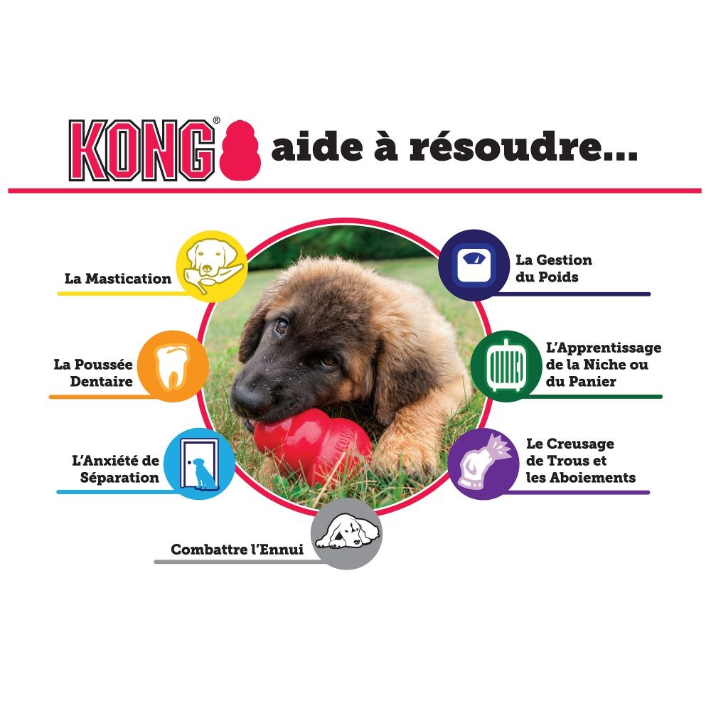 KONG senior