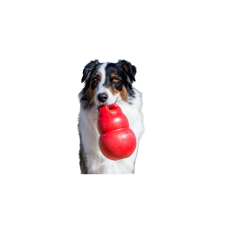 Jouet Kong Bounzer