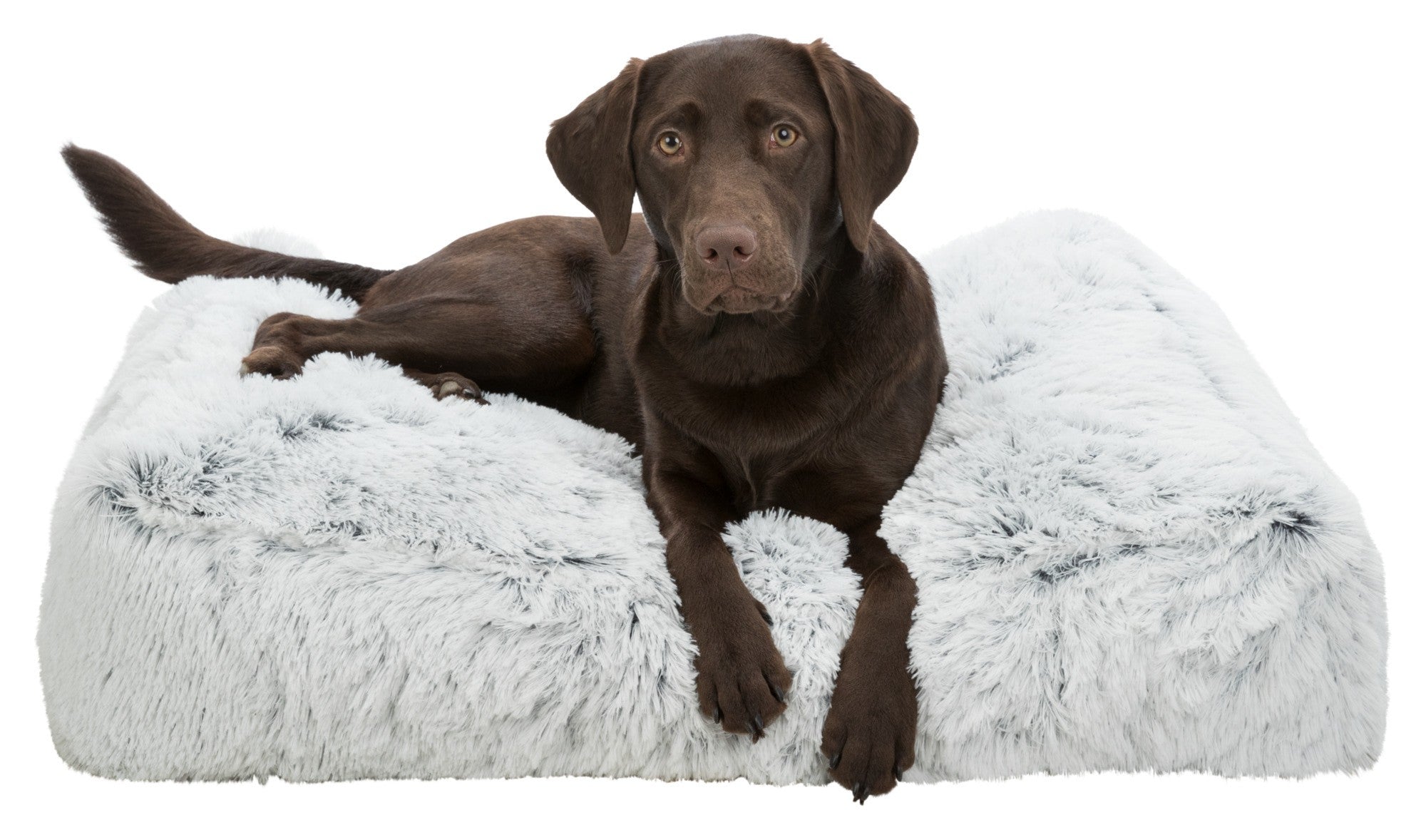 Coussin peluche Harvey